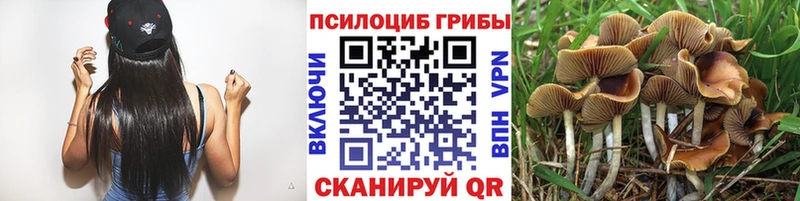 hydra онион  Киржач  Галлюциногенные грибы MAGIC MUSHROOMS 
